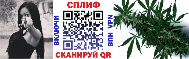 Конопля сатива  Разумное 